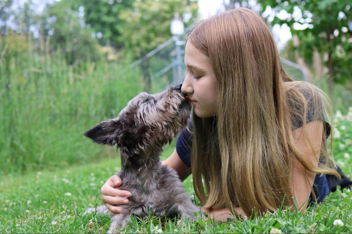 cleaning-with-pets-east-idaho